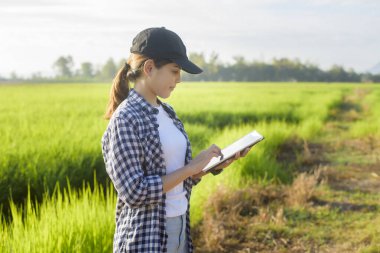 Tarlada tableti olan zeki bir kadın çiftçi, yüksek teknoloji yenilikleri ve akıllı çiftçilik.