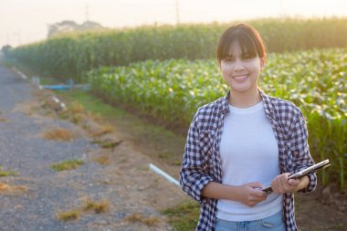 Tarlada tableti olan zeki bir kadın çiftçi, yüksek teknoloji yenilikleri ve akıllı çiftçilik.