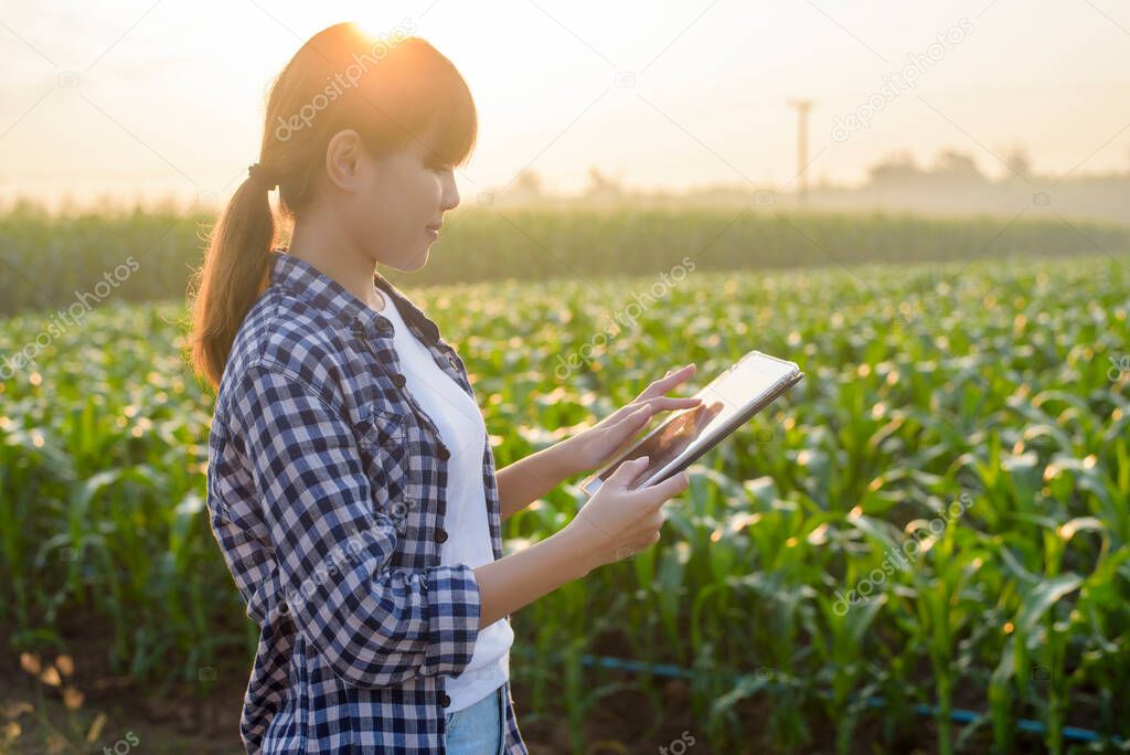 A young female smart farmer with tablet on field,High technology innovations and smart farming