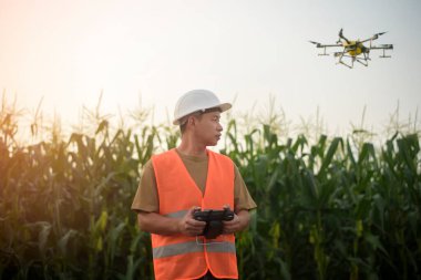 Erkek bir mühendis insansız hava aracının gübre ve böcek ilacını tarım arazisi, yüksek teknoloji yenilikleri ve akıllı tarım üzerine püskürtmesini kontrol ediyor.