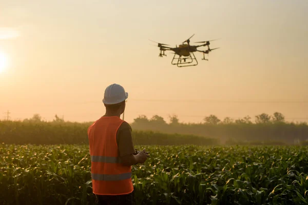 Ein Männlicher Ingenieur Steuert Drohnen Die Dünger Und Pestizide Über — Stockfoto