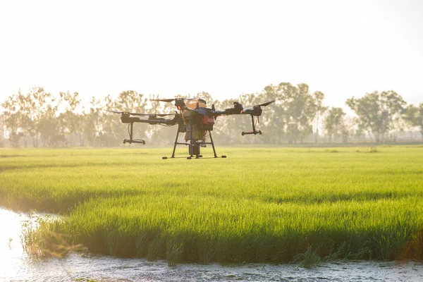Agrar Drohnen Fliegen Und Dünger Und Pestizide Über Ackerland Versprühen — Stockfoto