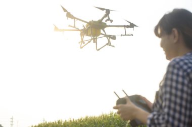 Genç ve zeki bir çiftçi İHA 'yı kontrol ediyor gübre ve böcek ilacını tarım arazisi, yüksek teknoloji yenilikleri ve akıllı tarım üzerine püskürtüyor.