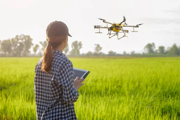 Young Smart Farmer Controlling Drone Spraying Fertilizer Pesticide Farmland High — Stock Photo, Image