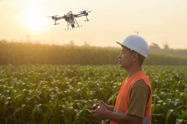 Ein Männlicher Ingenieur Steuert Drohnen Die Dünger Und Pestizide Über — Stockfoto