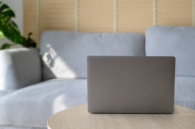 Ev bitkisi olan modern oturma odasının arka planı