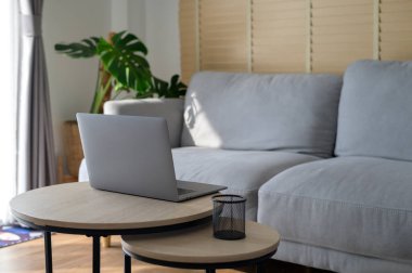 Ev bitkisi olan modern oturma odasının arka planı