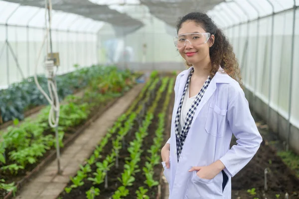 Seorang Agronomis Perempuan Asia Bekerja Rumah Kaca Sayuran Organik Dan — Stok Foto