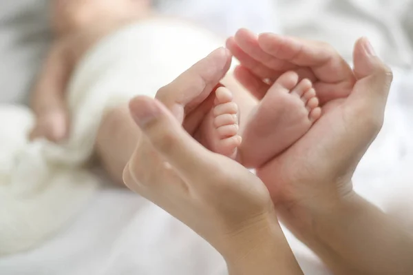 Close Hand Holding New Born Baby Feet — Zdjęcie stockowe