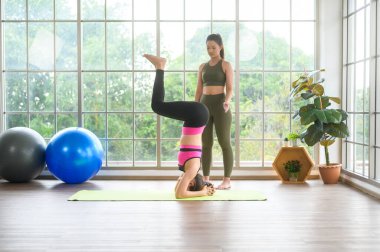 Evde yoga ve meditasyon yapan sağlıklı genç arkadaş kadınlar, spor ve sağlıklı yaşam tarzı konsepti..
