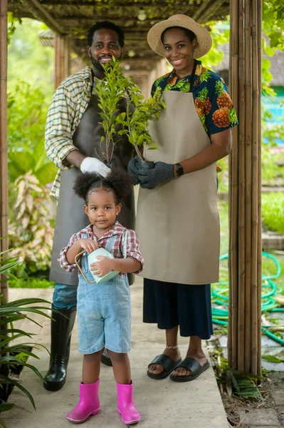 A Happy black agronomist family enjoying and working in farmland, agriculture concept