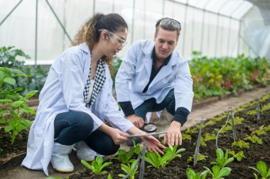 Bilim adamları seradaki organik sebzeleri tarımsal teknoloji kavramını inceliyor. 