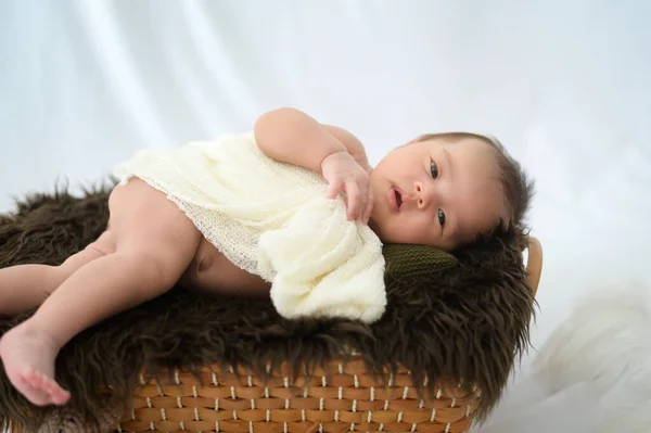 Portrait Cute New Born Baby — Foto Stock