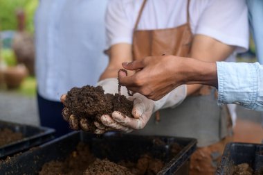 Bir grup melez ırk öğrencisi ve öğretmen tarım teknolojisini akıllı tarım, eğitim ekolojisi tarım kavramlarında öğreniyor. .
