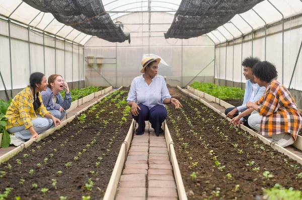 Gruppe Von Schülern Und Lehrern Mit Gemischter Rasse Lernen Landwirtschaftstechnologie — Stockfoto