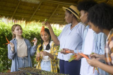 Bir grup melez ırk öğrencisi ve öğretmen tarım teknolojisini akıllı tarım, eğitim ekolojisi tarım kavramlarında öğreniyor. .