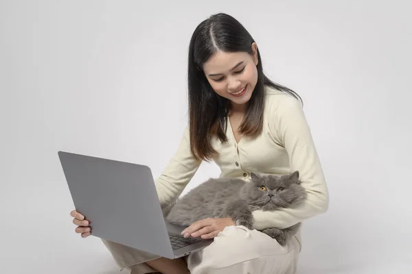 แมวสกอตแลนด กนอนบนม อของหญ งสาวในขณะท างานก บคอมพ วเตอร อปบนพ นหล งสต — ภาพถ่ายสต็อก