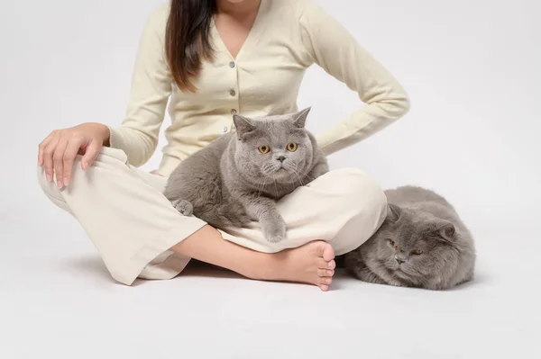 A young woman is holding lovely cat , playing with cat in studio on white background