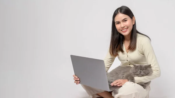 Scottish Fold Lovely Cats Lying Young Woman Hand While Working — Stok Foto