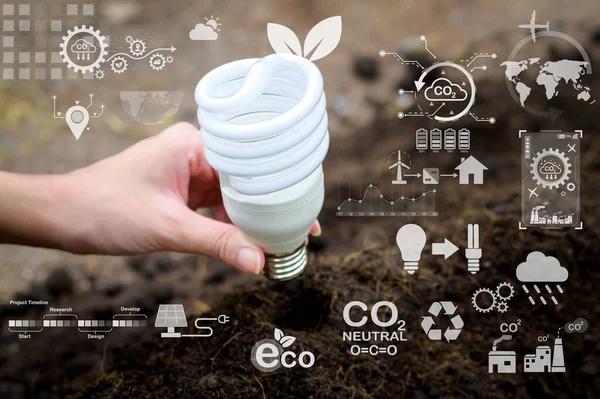 Bola Lampu Pada Latar Belakang Hijau Teknologi Ekologi Simpan Konsep — Stok Foto
