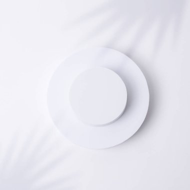 Boş beyaz arkaplan ile üç boyutlu daire modeli, Ürün gösterisi konsepti