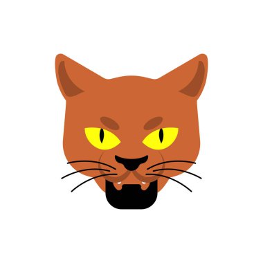 Kedi Gangster Surat. Kızgın hayvan ağızlığı. Sokak suçluları çetesinin hayvan zorbası üyesi