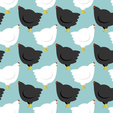 Tavuk desenleri pürüzsüz. Tavuk arka planı. Çiftlik kuşu dokusu. 