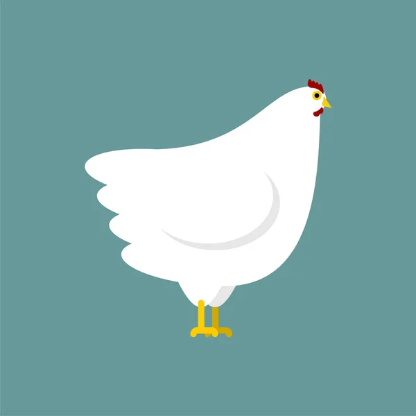 Gallina Blanca Aislada Aves Granja Pollo Ilustración Vectorial — Vector de stock