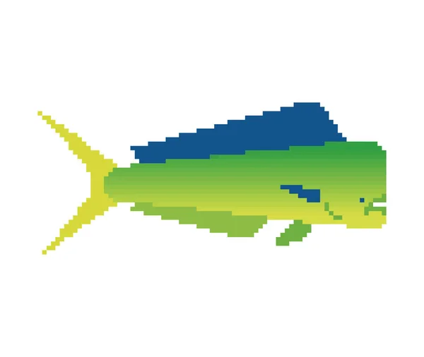 Dorado Rybí Pixel Art Bitů Mahi Mahi Pixelated Vektorová Ilustrace — Stockový vektor