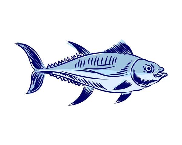 Tonhalas Kézzel Rajzolt Gravírozás Tunny Seafood Hal Vektor Illusztráció — Stock Vector