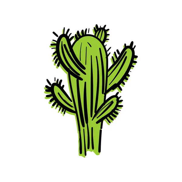 Cactus Dessin Main Isolé Cactus Illustration Vectorielle Désert — Image vectorielle