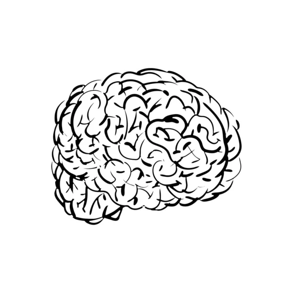 Малюнок Рук Мозку Ізольовано Мозок Гравюра Векторні Ілюстрації — стоковий вектор