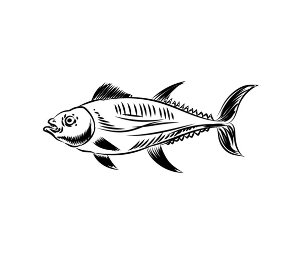 Thunfisch Handzeichnung Gravur Thunfisch Fisch Vektorillustration — Stockvektor