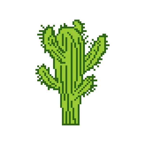 Sztuka Pikseli Kaktusa Bitowy Kaktus Odizolowany Ilustracja Wektora Pikseli — Wektor stockowy
