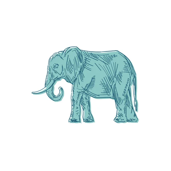 大象手绘孤立 动物媒介说明 — 图库矢量图片