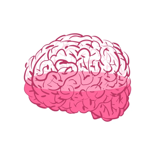 Carga Cerebral Vaso Cérebro Preenchido Com Fluido Conceito Preenchimento Conhecimento —  Vetores de Stock