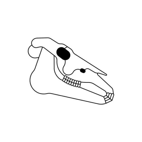 Teschio Cavallo Isolato Cranio Equino Illustrazione Vettoriale — Vettoriale Stock