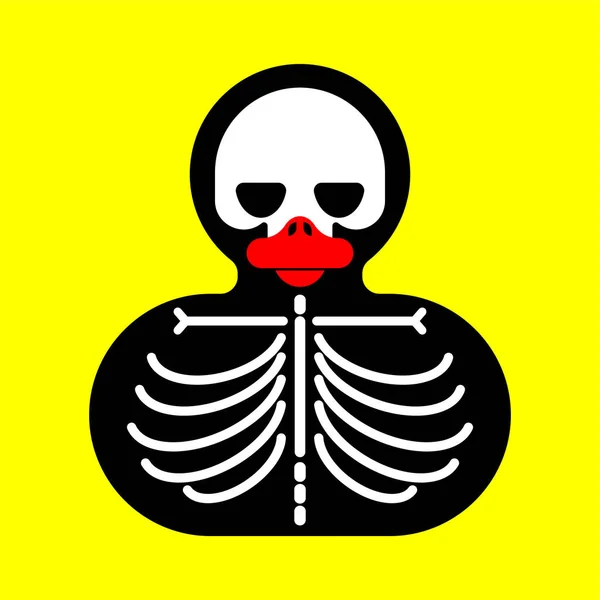 Ελαστικός Σκελετός Πάπιας Απομονωμένος Εικονογράφηση Διάνυσμα Παιχνιδιών Οστών — Διανυσματικό Αρχείο