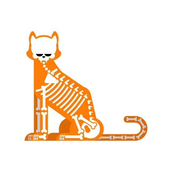 Skelet Kat Geïsoleerd Kattenschedel Botten Vectorillustratie — Stockvector