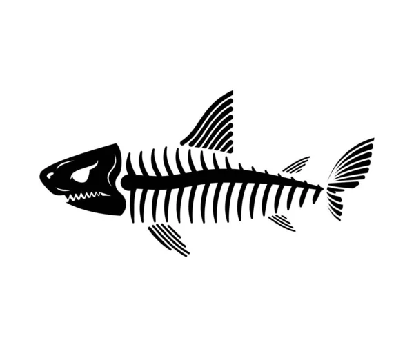 Cápacsontváz Elkülönítve Cápa Koponya Vektorillusztráció — Stock Vector
