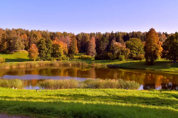 Красивые Фотографии Осеннего Парка — стоковое фото