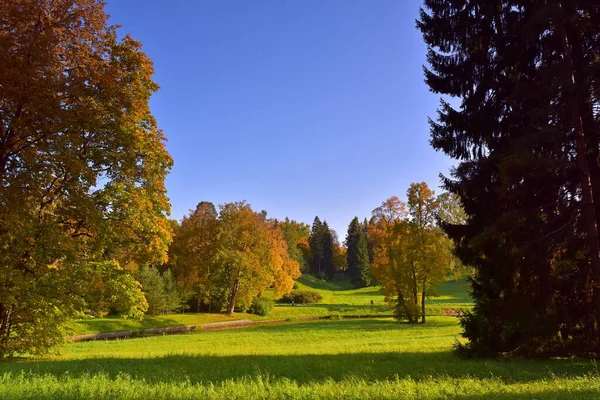 Sonbahar parkının güzel fotoğrafları..