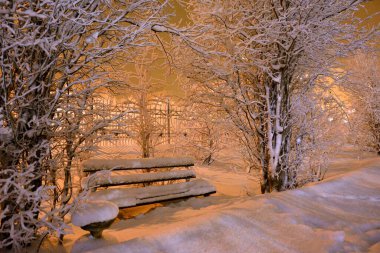 Bir poster ve kitap için güzel sonbahar fotosu güzel sonbahar fotoğrafları. Poster ve kitap için..