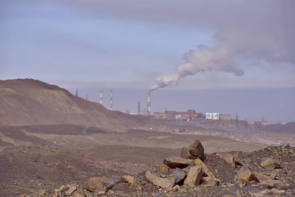 Yoksul ekolojinin ve ölü ormanın fotoğrafları.