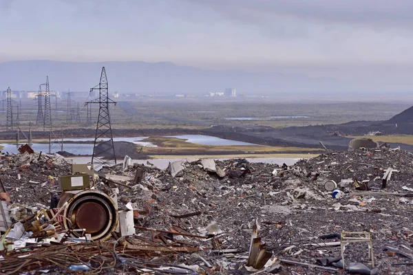 Yoksul ekolojinin ve ölü ormanın fotoğrafları.