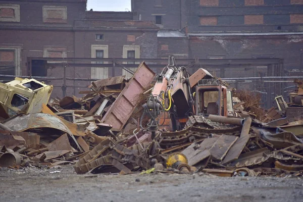 Yoksul ekolojinin ve ölü ormanın fotoğrafları.