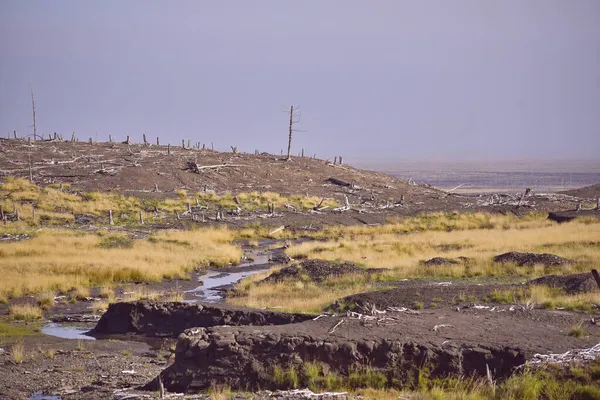Çevresel bir felaketin fotoğrafları. İnsan faaliyetlerinin sonuçları. 