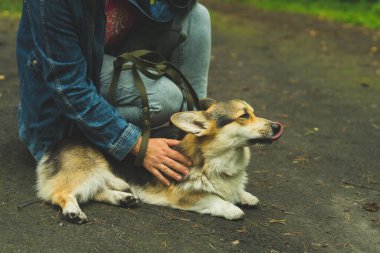 Yazın Corgi Welsh Pembroke ve sahibi.