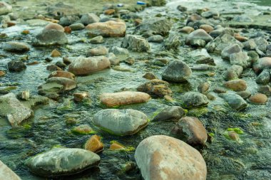 Deniz kıyısındaki taşlar, tatil ve yaz konsepti
