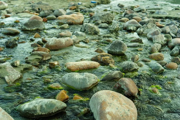 Deniz kıyısındaki taşlar, tatil ve yaz konsepti